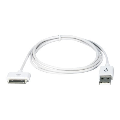 QVS AC 3M Charging data cable Apple Dock M to USB M 10 ft white for Apple iPad iPhone iPod Apple Dock