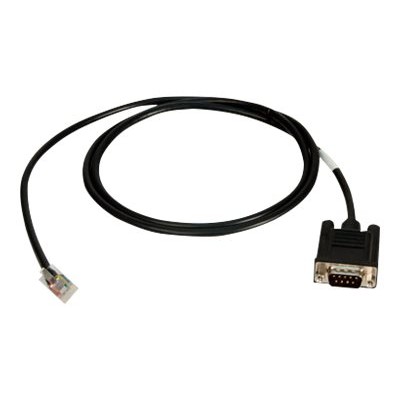 Digi 76000240 4ft RJ 45 to DB 9 Male Straight Cable