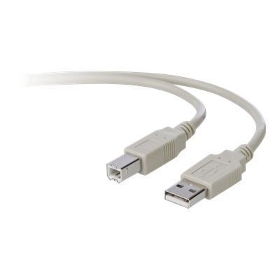 Belkin F3U133 10 TAA PRO Series USB cable USB M to USB Type B M USB 2.0 10 ft molded B2B
