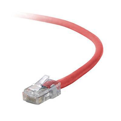 Belkin A3L791 02 RED Patch cable RJ 45 M RJ 45 M 2 ft UTP CAT 5e stranded red B2B for Omniview SMB 1x16 SMB 1x8 OmniView IP 5000HQ Omni