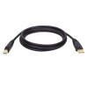 6ft USB 2.0 Gold Cable