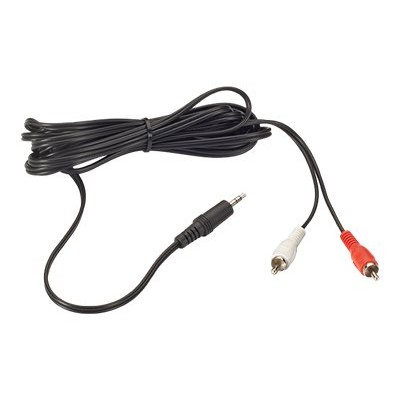 Black Box ACB-2RCAMJ-0006 Audio cable - RCA x 2 (M) to stereo mini jack (M) - 6 ft