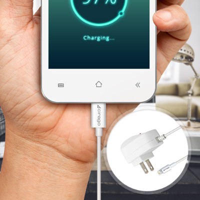 Cirago IPL2000 AC Charger Lightning Cable 2.1A