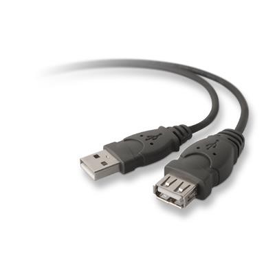 Belkin F3U134B06 PRO Series USB extension cable USB M to USB F USB 2.0 6 ft molded B2B